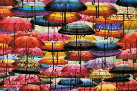 1000 Colorful Umbrellas