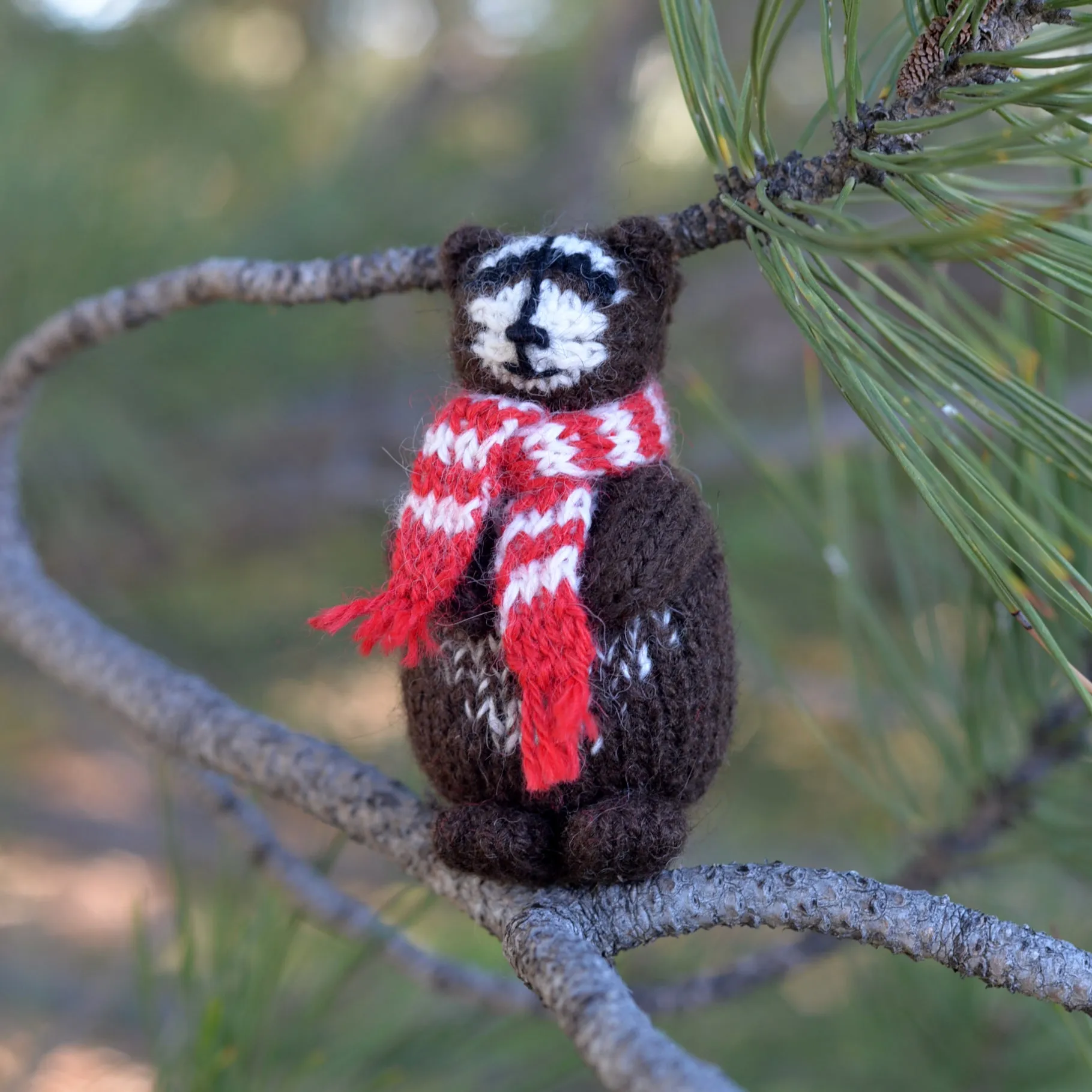 Raccoon Ornaments, set of 3
