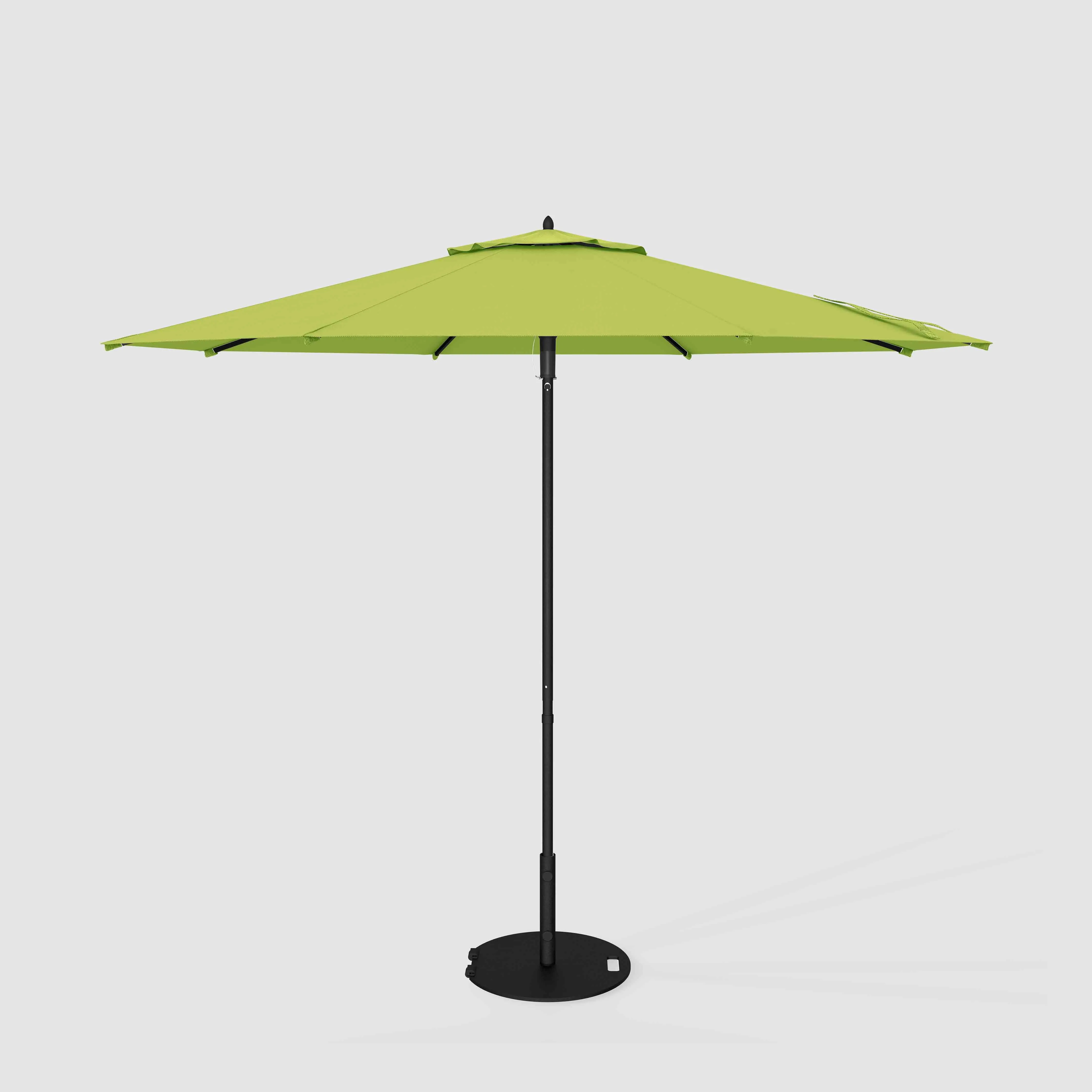The Push and Pop™ - Sunbrella Macaw