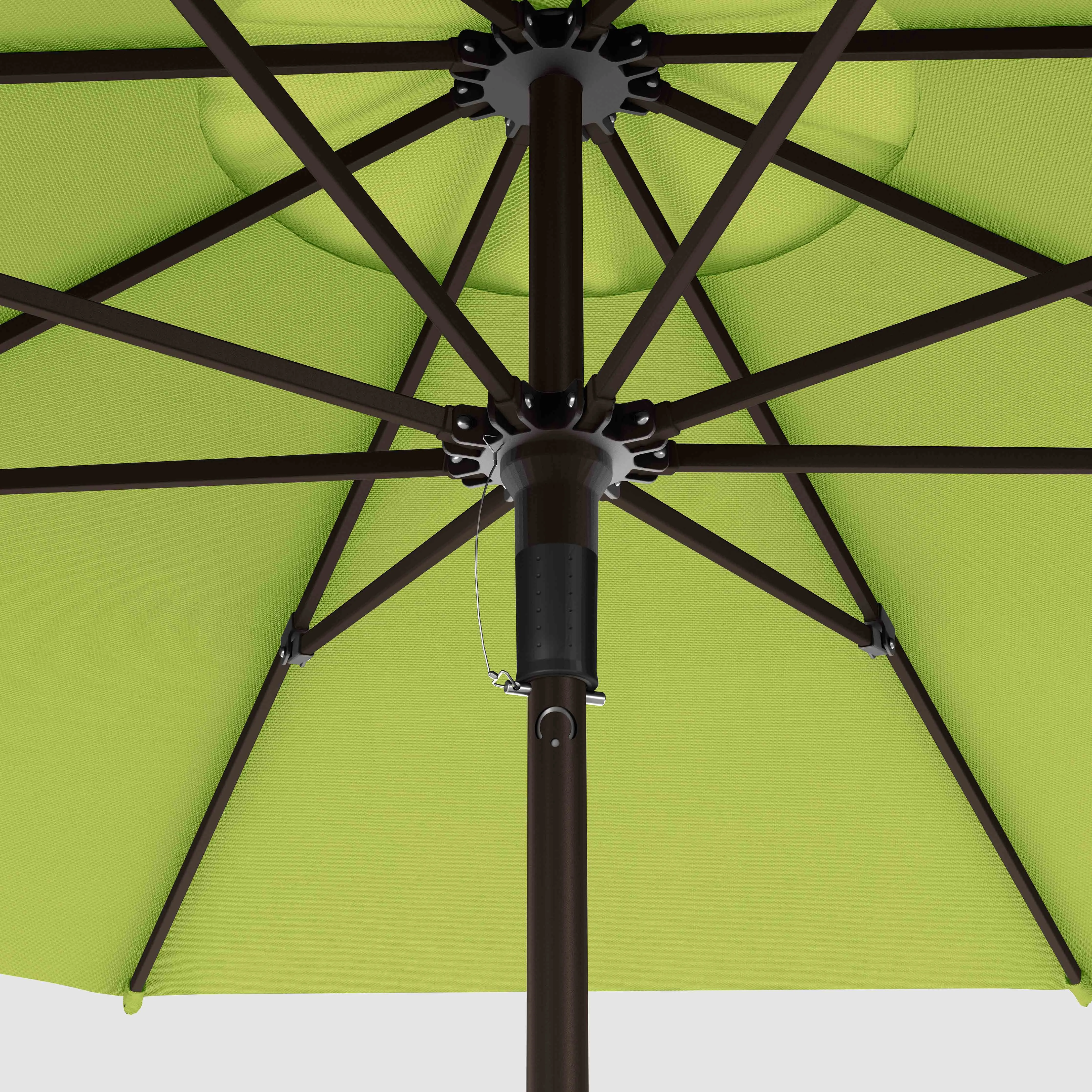 The Push and Pop™ - Sunbrella Macaw