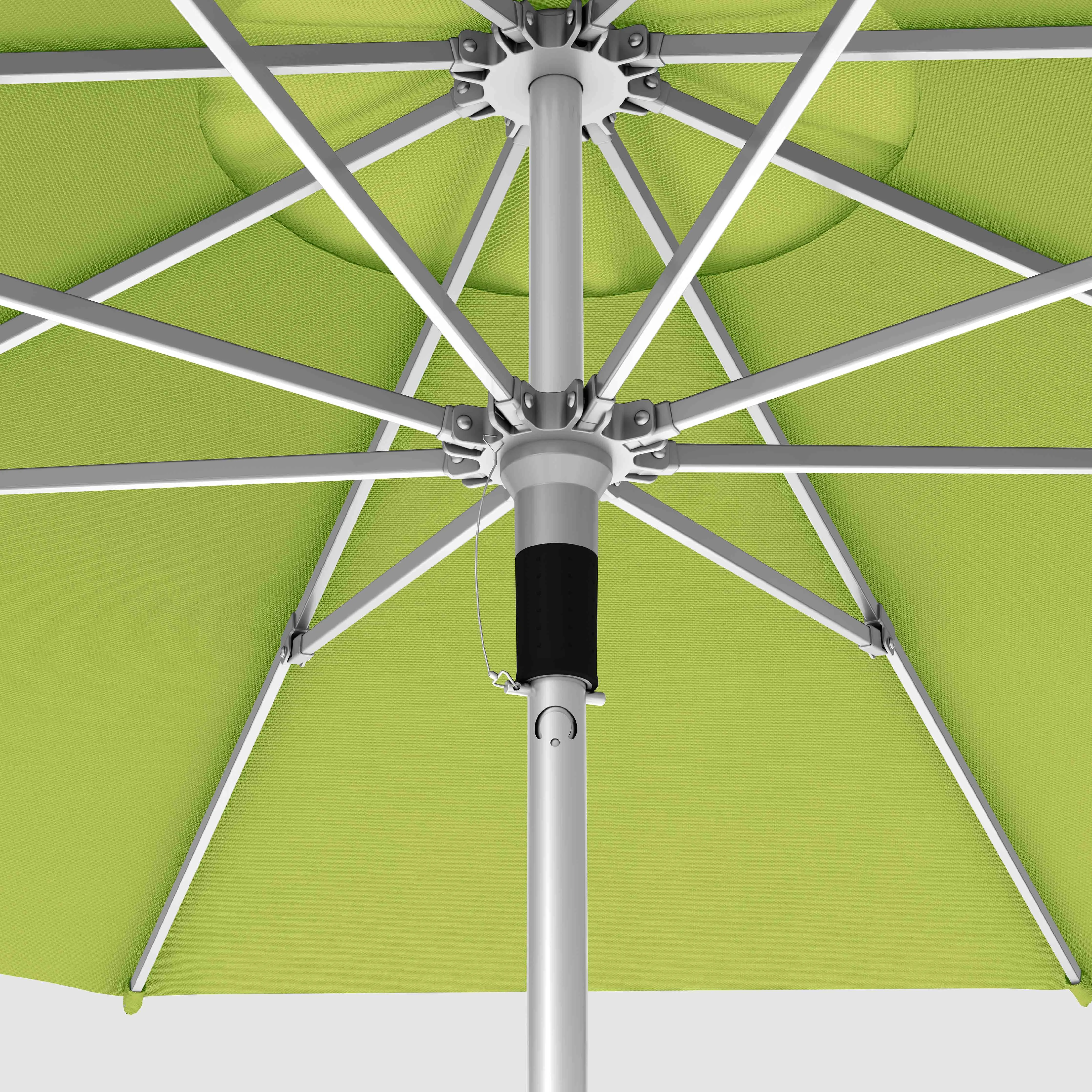 The Push and Pop™ - Sunbrella Macaw