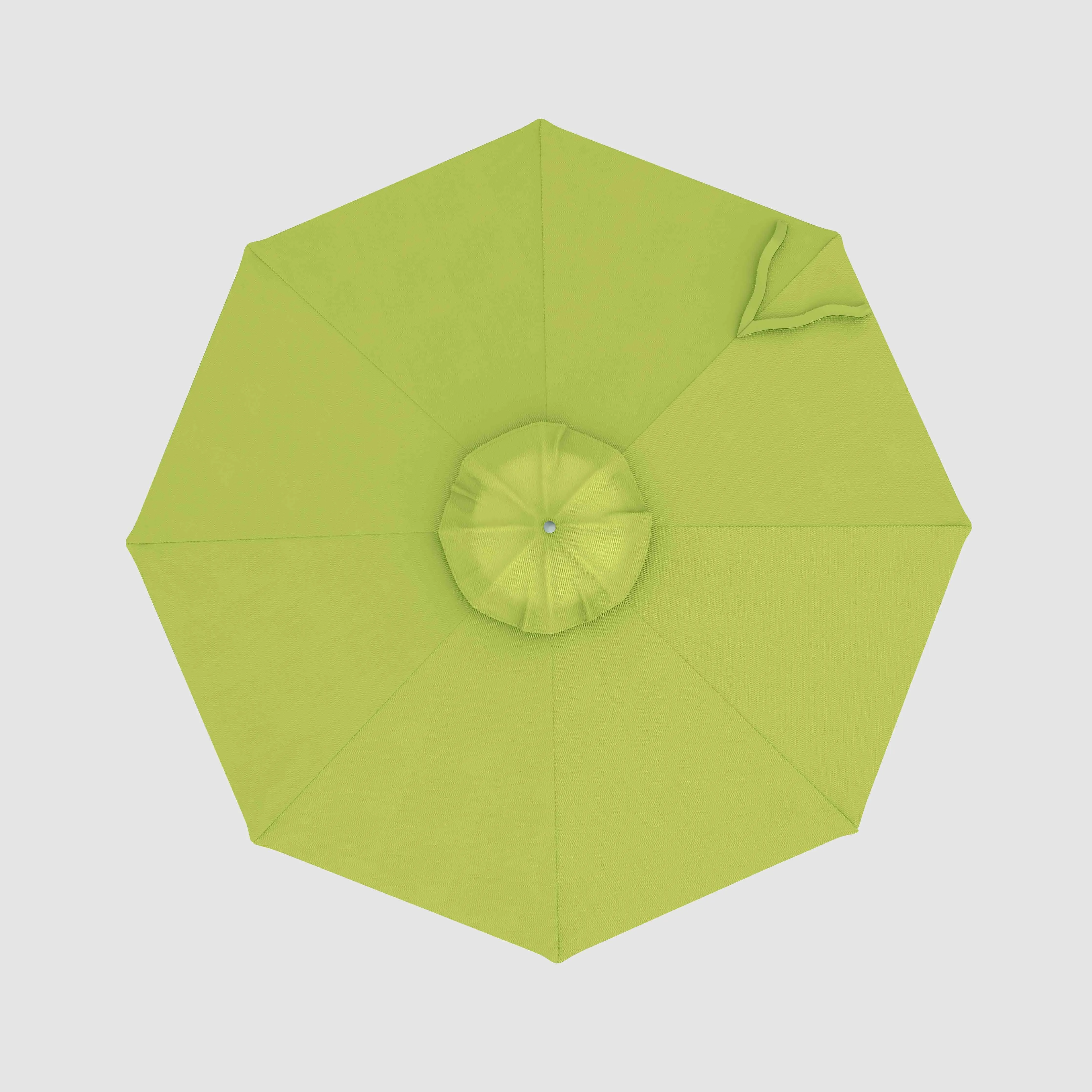 The Push and Pop™ - Sunbrella Macaw