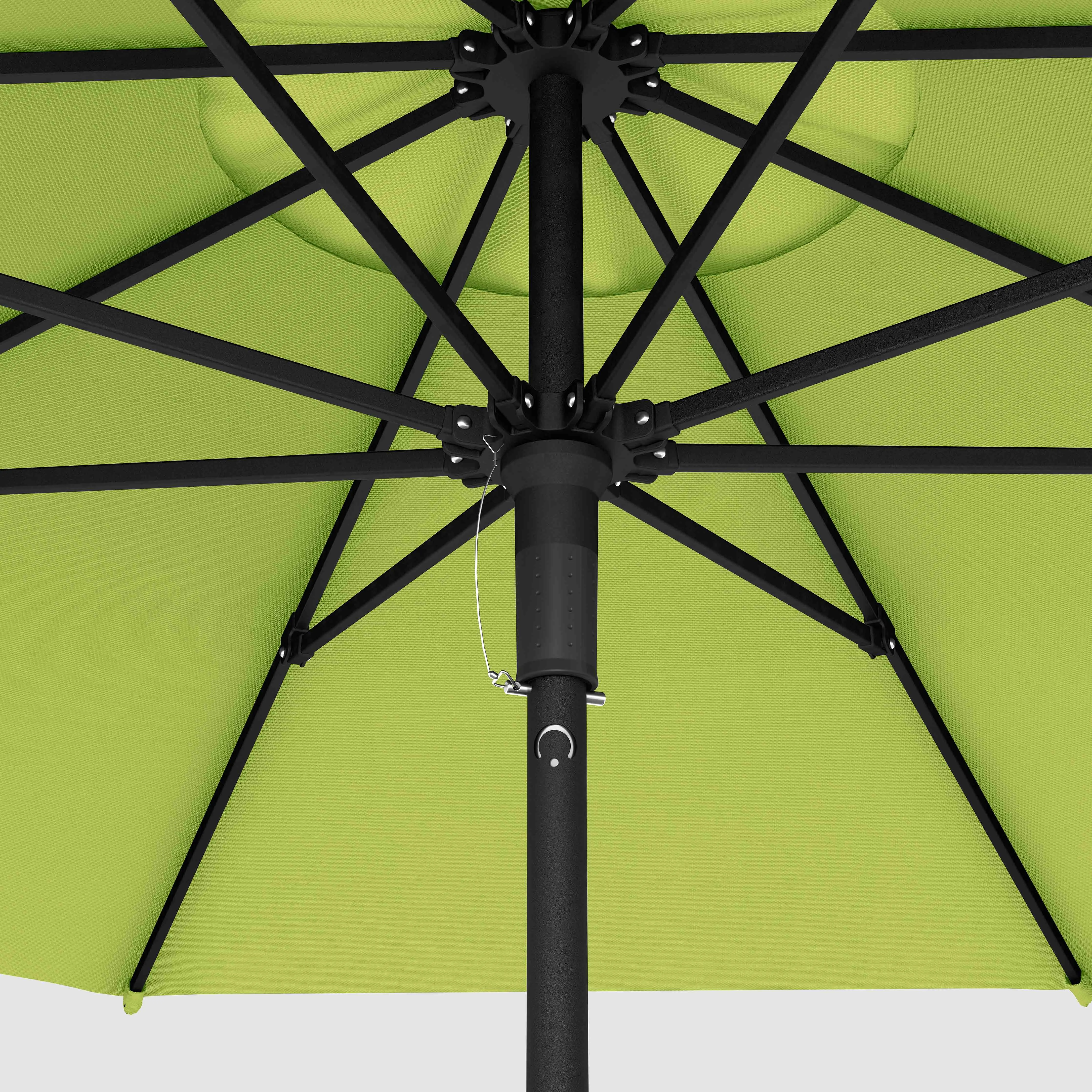 The Push and Pop™ - Sunbrella Macaw